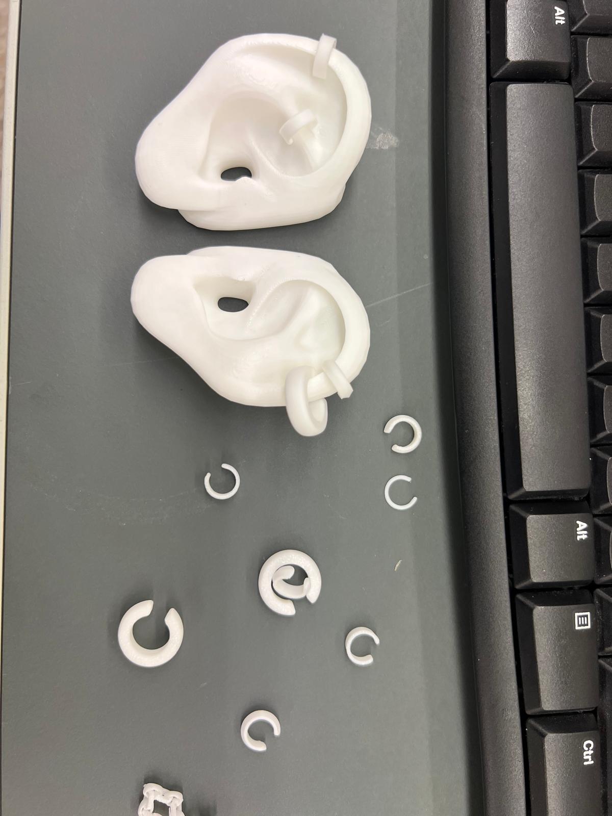 Ornamented ear prototypes
